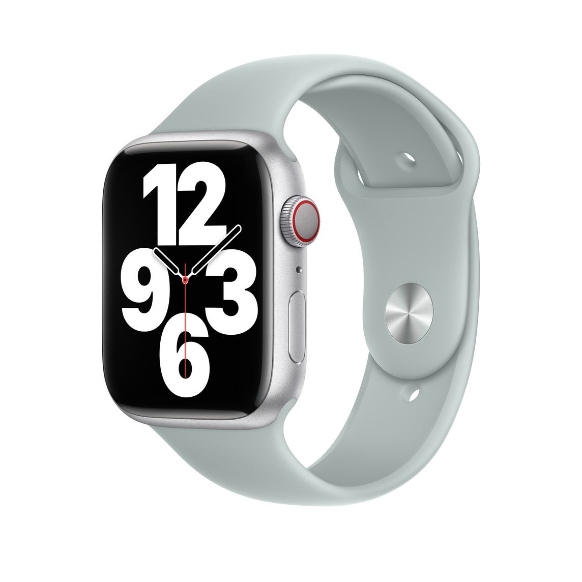45mm Succulent Sport Band