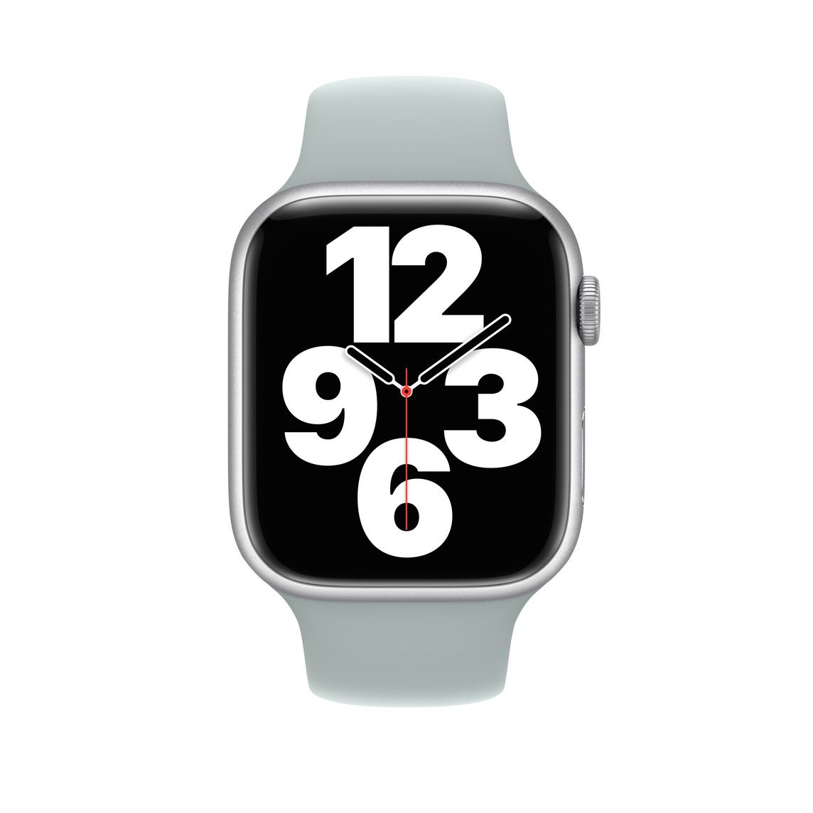 45mm Succulent Sport Band