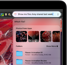 كتابة طلب إلى Siri للعثور على ملفات أثناء العمل في تطبيق Houdini