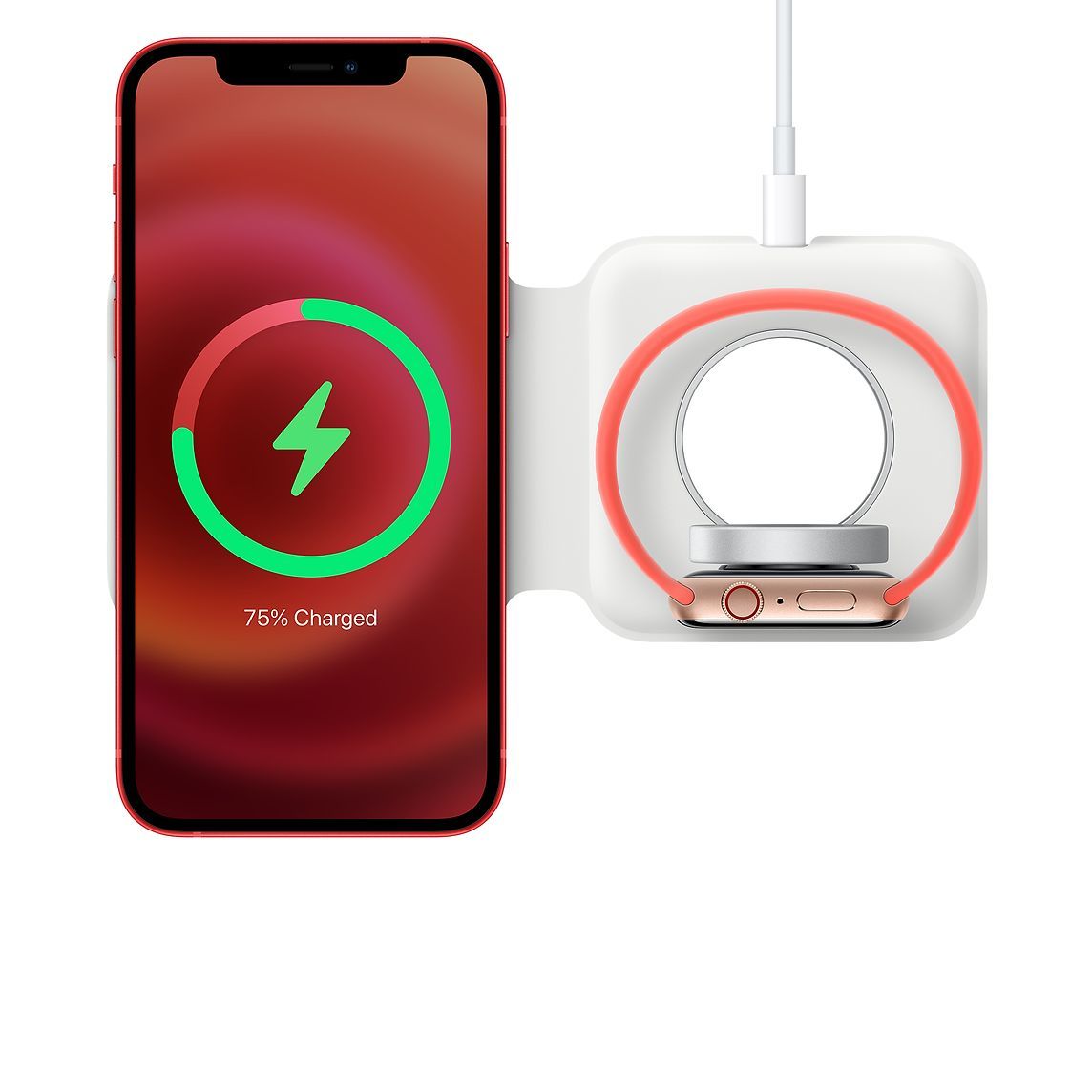 Lightning to USB Cable (1 m)