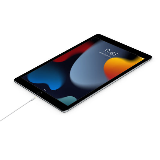 USB-C_to_Lightning_Cable_(1m)_image_position_2