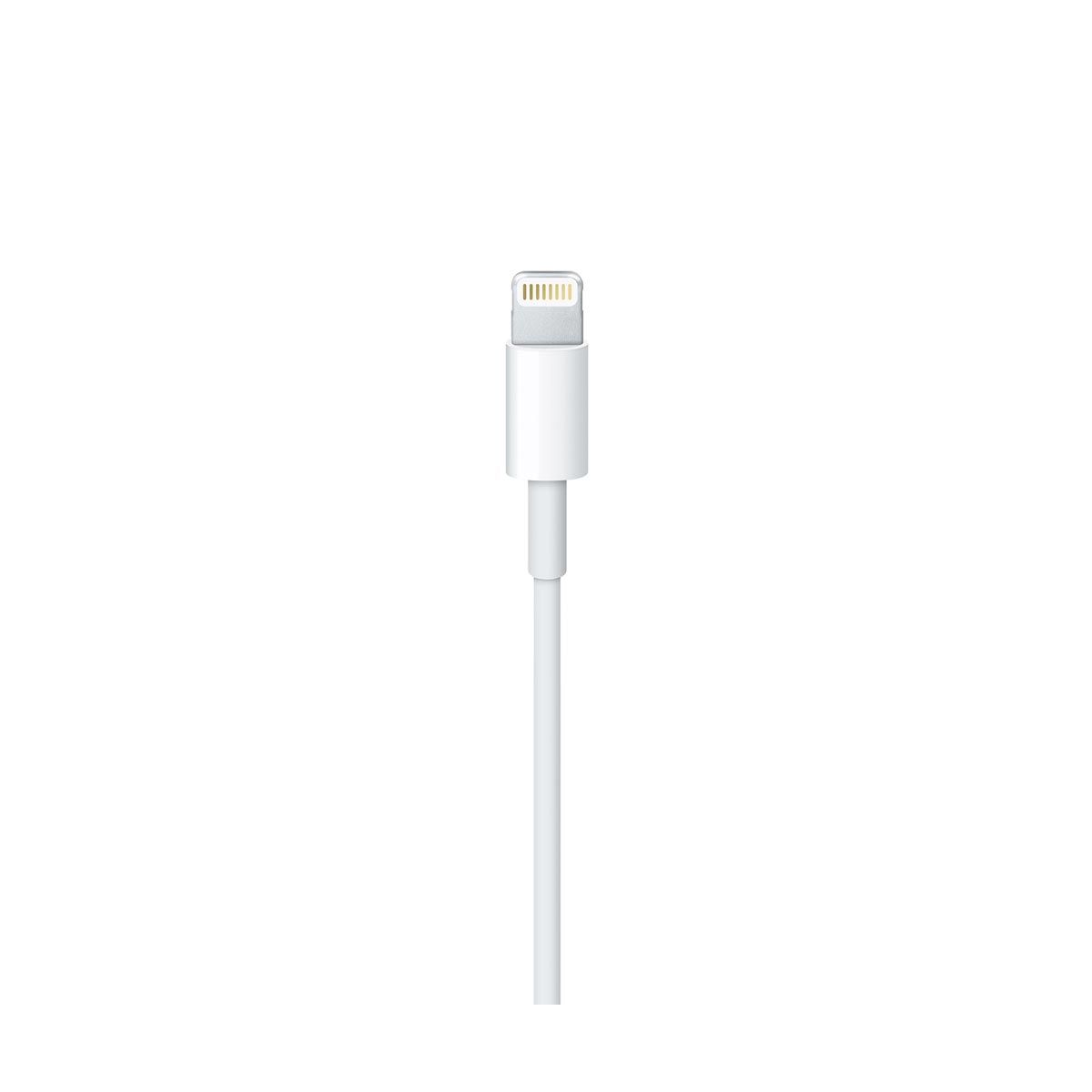 Apple - Lightning to USB Cable (2 m)