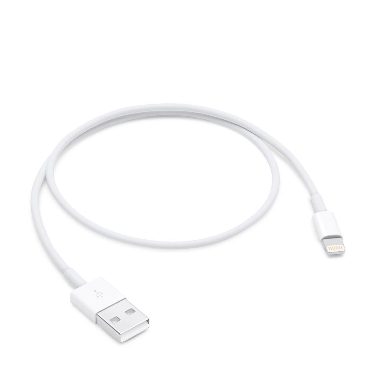 Apple - Lightning to USB Cable (0.5 m)