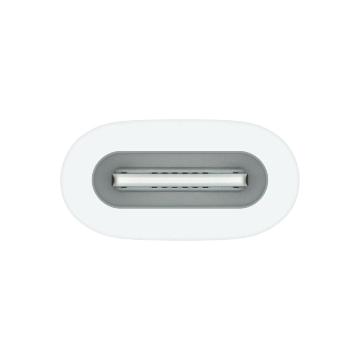 USB-C to Apple Pencil Adapter