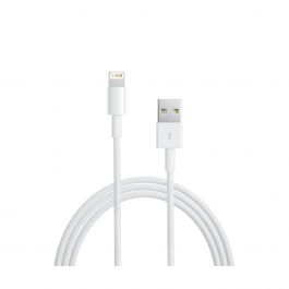 Apple - Lightning to USB Cable (0.5 m)