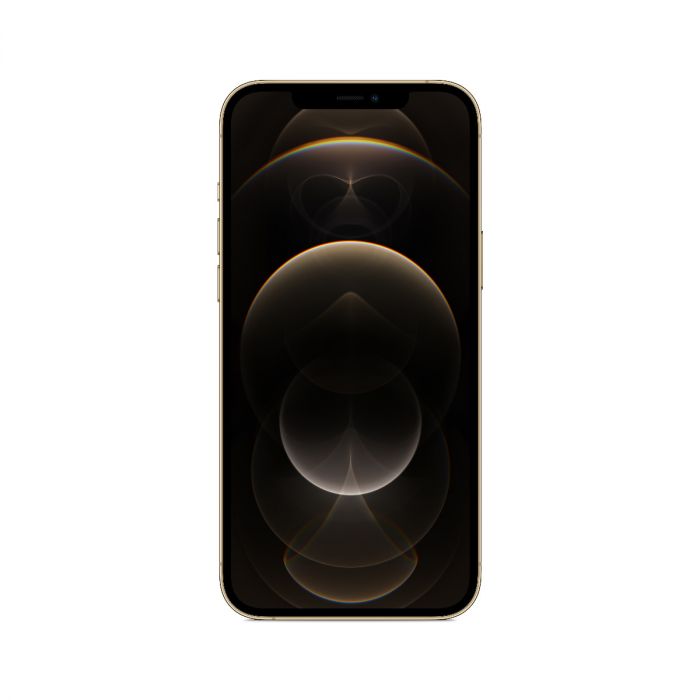 Buy Apple Iphone 12 Pro Max 256gb Gold Online At Best Price In Dubai Abu Dhabi Sharjah Istyle