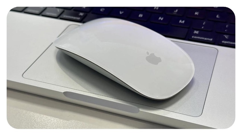 Magic Mouse - White Multi-Touch Surface - Education - Apple